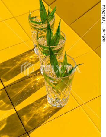 Refreshing summer drinks in crystal glasses with green leaves yellow tile background harsh shadows cold natural cocktail Refreshing summer drinks in crystal glasses with green leaves yellow tile background harsh shadows cold natural cocktail 78990622