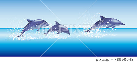 イルカ 群れ 海 イラスト Dolphin のイラスト素材