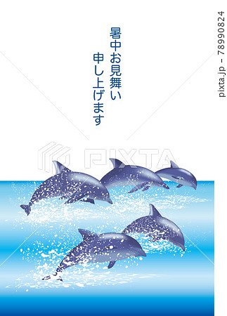 イルカ 暑中見舞い ハガキ イラスト Dolphin のイラスト素材 7904