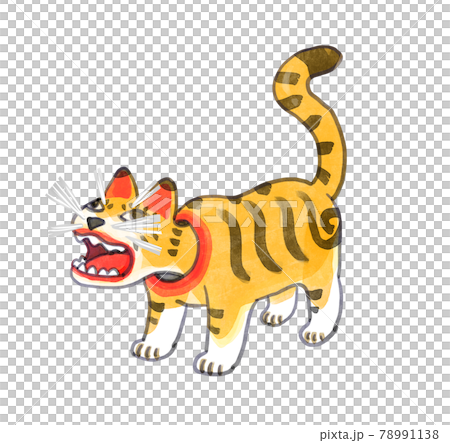 手描き張子の虎イラスト 78991138