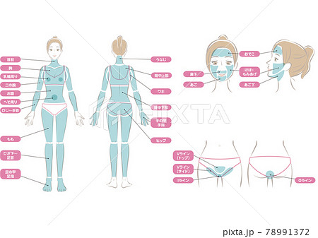 女性の全身の脱毛部位セットのイラスト素材