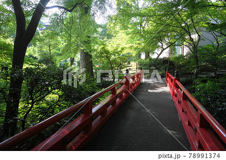 6月 新宿222ホテル椿山荘東京・庭園 6月 新宿222ホテル椿山荘東京・庭園 78991374