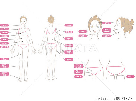 女性の全身の脱毛部位セット 78991377