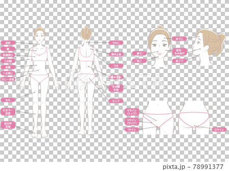 女性の全身の脱毛部位セット 78991377