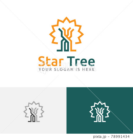 Star Tree Forest Nature Simple Line Business Logo Star Tree Forest Nature Simple Line Business Logo 78991434