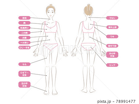 女性の全身の脱毛部位のイラスト素材