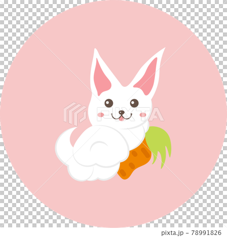 一隻兔子 78991826