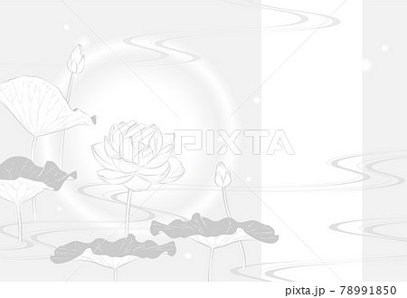 蓮の花の喪中はがき（モノクロ文字無し） 78991850