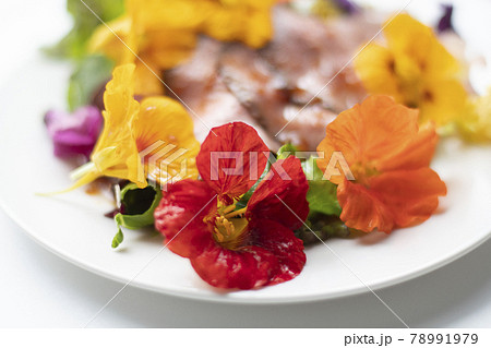 ナスタチウム Nasturtium エディブル フラワー ハーブ 花 食用花 キンレンカの写真素材