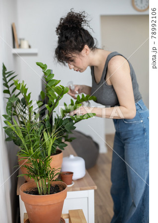 Modern curly brunette female housewife taking care domestic potted plants spraying water at home Modern curly brunette female housewife taking care domestic potted plants spraying water at home 78992106