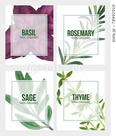Summer veggies banner, hand drawn vector watercolor illustration 78992910