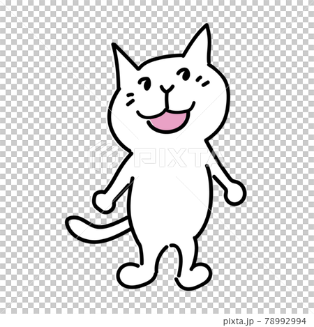 可愛い笑顔の白猫の全身イラスト 可愛い笑顔の白猫の全身イラスト 78992994