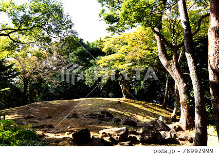 石垣山一夜城歴史公園 78992999