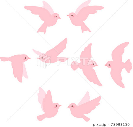 Illustration Set Of Pink Birds Paired On The Stock Illustration