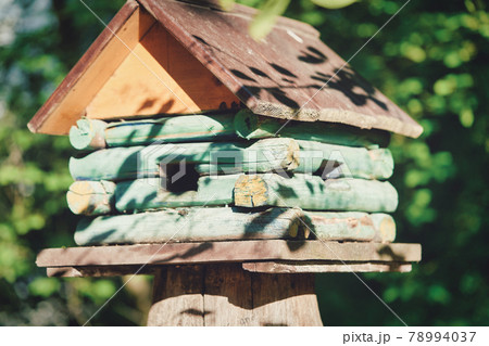 Wooden birdhouse in the form of a house on a stump in the park 78994037