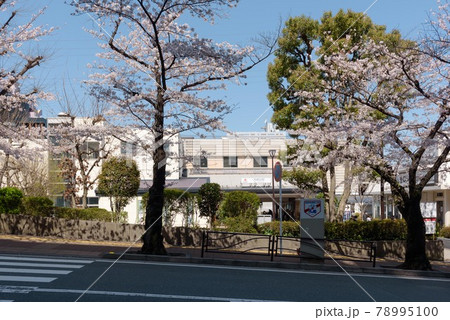宮崎台駅前の道路 78995100