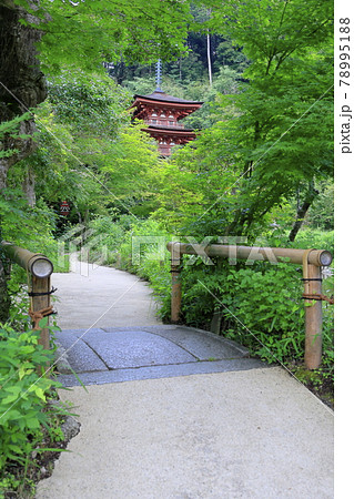 浄瑠璃寺 78995188