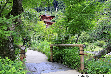 浄瑠璃寺 浄瑠璃寺 78995189