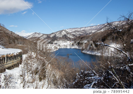 冬の藤原湖 冬の藤原湖 78995442