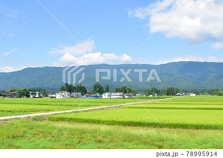 2020年夏の山形鉄道フラワー長井線と車窓からの風景 78995914