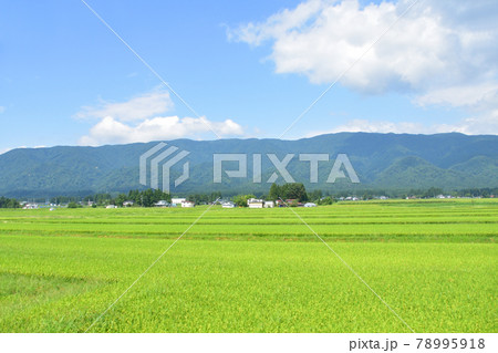 2020年夏の山形鉄道フラワー長井線と車窓からの風景 78995918