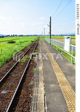 2020年夏の山形鉄道フラワー長井線と車窓からの風景 78995979