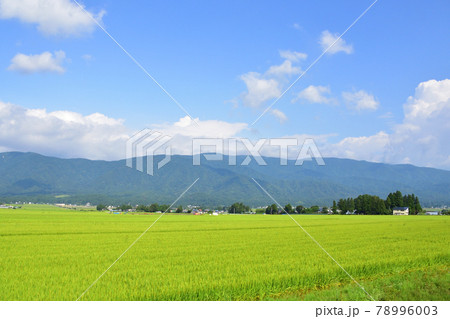 2020年夏の山形鉄道フラワー長井線と車窓からの風景 2020年夏の山形鉄道フラワー長井線と車窓からの風景 78996003