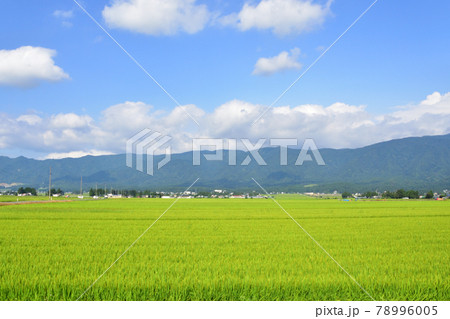 山形鉄道フラワー長井線沿線の風景(2020年夏) 山形鉄道フラワー長井線沿線の風景(2020年夏) 78996005