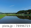 代搔き・田植え後の田園風景・青空・鏡 78996723