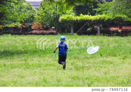 虫取り網を持って何かを追う少年は昔の君のようの写真素材