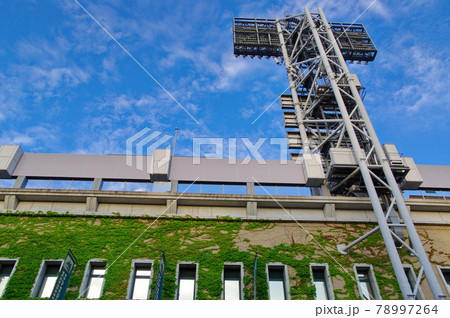 甲子園球場 初夏 ツタのある風景 甲子園球場 初夏 ツタのある風景 78997264