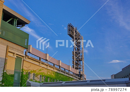 甲子園球場 初夏 ツタのある風景 甲子園球場 初夏 ツタのある風景 78997274