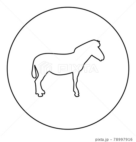 Zebra stand Animal standing silhouette in circle  78997916