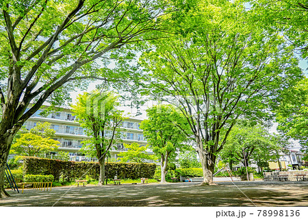 降雨の次の日の近所の公園 コロナ禍で閑散とした公園で新緑の木々に癒される 降雨の次の日の近所の公園 コロナ禍で閑散とした公園で新緑の木々に癒される 78998136