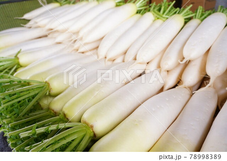 洗浄済大根出荷待ち 洗浄済大根出荷待ち 78998389