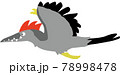 始祖鳥 78998478