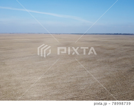 Agricultural fields on a sunny spring day, aerial view. Landscape. Blue sky over the fields. 78998739