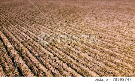 Arable field, aerial view. Landscape. Agricultural field as a background. 78998747