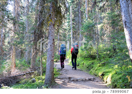 共にゆく 共にゆく 78999067