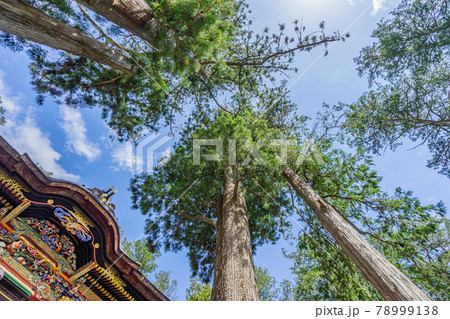 神域への入り口 (日本 - 埼玉 - 三峯神社) 神域への入り口 (日本 - 埼玉 - 三峯神社) 78999138