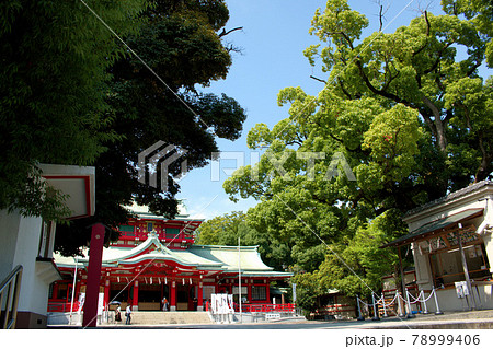 富岡八幡宮 78999406