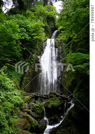 回顧の滝 回顧の滝 78999987