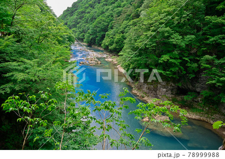 抱返り渓谷 78999988