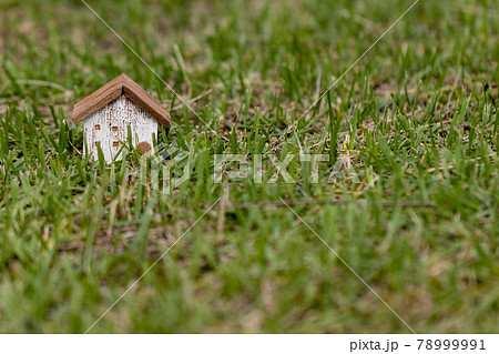 芝生の上の小さな可愛い木製のおうち 78999991