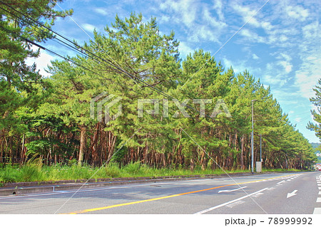 【福岡市】　生の松原 78999992