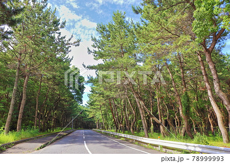 【福岡市】 生の松原 【福岡市】 生の松原 78999993