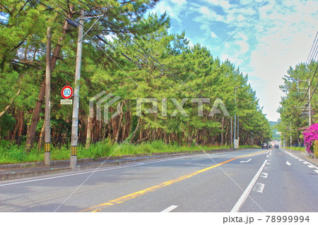 【福岡市】 生の松原 【福岡市】 生の松原 78999994