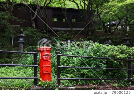 新緑の中にポストを見つけました！ 79000129