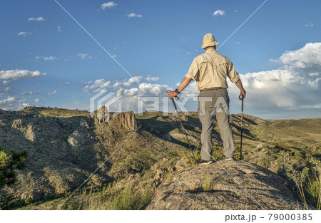 hiker with trekking poles hiker with trekking poles 79000385