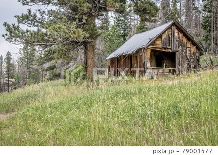 ruins of cabin in Rocky Mountains ruins of cabin in Rocky Mountains 79001677